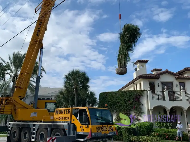 Trees and shrubs planted by Dreamscape Gardens
